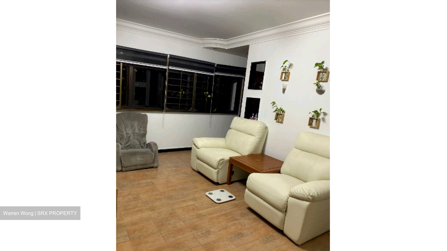 Blk 19 Cantonment Towers (Bukit Merah), HDB 4 Rooms #629353741